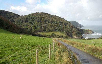 Scoping survey of all the woodland to the north of Exmoor